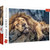 Trefl 1000 Piece Jigsaw Puzzle  Sleeping Lion