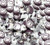 Salt Water Taffy Licorice Flavor 5 Pound -80 Oz-