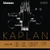 DAddario Kaplan Amo Violin E String  4-4 Scale  Light Tension