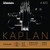 DAddario Kaplan Amo Violin G String  4-4 Scale  Light Tension