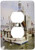 3dRose lsp-11891-6 Shrimp Boat and Birds 2 Plug Outlet Cover