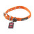 Petmate Dogzilla 5-8 x 10-16 Collar  Orange  Medium