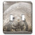 3dRose lsp-74899-2 South Shetland Islands Southern Elephant Seal Double Toggle Switch