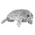 Harbor Seal 8 by Wild Life Artist