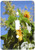 3dRose lsp-29636-1 Tall Sunflowers Toggle Switch  Multi-Color