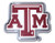 Elektroplate Texas AandM -ATM- Color Emblem