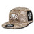 WHANG California Republic Snapbacks  Desert Digital