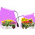 Grow Lights 40W Dual Head Plant Grow Lamp Lights Full Spectrum Growing Lights for Indoor Plant with 9 Dimmable Level and 3-9-12H Timer Plant Grow Lights