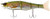 Jackall Gantia 180 7 RT Trout JGAN180-RTTR Swimbait 3