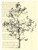 STAMPENDOUS Wood Handle Stamp, Tree Poem Image