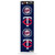 MLB Minnesota Twins Quad Decal