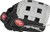 Rawlings Sure Catch Series Youth Baseball Glove  Pro H Web  11 inch  Right Hand Throw