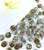 SweetGourmet Chocolate Mint Starlight - Clear Wrap Bulk Hard Candy - 3 Pounds