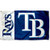 WinCraft Tampa Bay Rays Flag 3x5 Banner