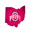 Fan Creations NCAA Ohio State Buckeyes 11-25 X 10 Team Color Logo State