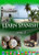 Learn Spanish DVD Level 3