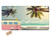 Amcove Beach Surf Decorative Car Front License Plate  Minivan Retro Vacation Theme Clouds in Summer Sky Honeymoon Destination Vanity Front License Pla