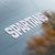 Michigan State University Spartans Car Decal -White-