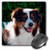 3D RoseAustralian Shepherd Outdoor Matte Finish Mouse Pad - 8 x 8 - mp-230317-1