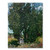 The Cypresses by Vincent van Gogh  18x24-Inch Canvas Wall Art