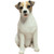 Sandicast Mid Size Rough Brown and White Jack Russell Terrier Sculpture, Sitting