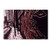 Tagged by Jonathan Van Dyck  12x19-Inch Canvas Wall Art