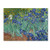 Irises 1889 by Vincent van Gogh  18x24-Inch Canvas Wall Art