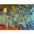 Irises by Van Gogh Wall Art