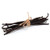 OliveNation Tongan Vanilla Beans 5 Beans