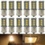 12-Pack 1156 BA15S 7506 1141 1003 1073 Warm White 3000k LED Light 12V-DC, AMAZENAR 5050 18 SMD Car Replacement For Interior RV Camper Turn Signal Light Lamps Tail BackUp Bulbs