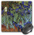 3dRose LLC 8 x 8 x 0-25 Inches Van Gogh Irises Pattern Mouse Pad -mp-48248-1-
