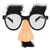 Rhode Island Novelty Childs Disguise Glasses  One Pair