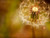 Posterazzi Waiting for Wind Poster Print by Roberta Murray  -9 x 12-
