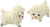 Appletree Design Lamb Salt and Pepper Set, 2-1/2-Inch