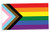 Applicable Pun Progress Pride Flag LGBTQ POC Transgender Flag - Vinyl Decal Sticker 5 inch