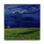Trademark Fine Art Wheatfields Under Thnderclouds by Vincent Van Gogh  White Metal Art 16x16  Multi-Color