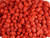 Sconza French Burnt Peanuts -5 Pound-