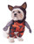 Rubies Costume Co 580665-M Marvel Walking Rocket Raccoon Pet Costume  Medium
