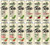 ZEVIA Variety Pack -12 Count- Organic Black Tea  Green Tea  Black Raspberry Tea  Blood Orange Tea  ZERO Calories  No Artificial Sweeteners