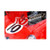 Trademark Fine Art 1962 Ferrari 250 GTO Engine Watercolor by NAXART  12x19  Multiple