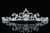 SAMKY Bridal Rhinestone Crystal Prom Princess Wedding Tiara Crown T500