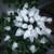 AWQ 100LED 81 FT C9 Christmas String Lights Plug in Fairy Twinkle String Lights 8 Modes Timer Function Waterproof Extendable for Indoor Outdoor Weddin