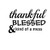 Thankful Blessed and Kind of A Mess Funny NOK Decal Vinyl Sticker -Cars Trucks Vans Walls Laptop-Black-5-5 x 3-5 in-NOK1197