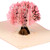 Cherry Blossom Tree by DEVINE Popup Cards - Happy Wedding Anniversary Card for Wife Husband - 3D Birthday Card for Mom Dad - Pop Up Birthday Cards for