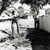 Muhammad Ali cutting wood with an axe Photo Print -8 x 10-