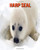 Harp Seal Amazing Facts about Harp Seal