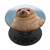 Seal Sea Lion PopSockets Grip and Stand for Phones and Tablets