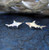 Shark Stud Earrings Polished Sterling Silver Handmade in USA