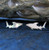 Tiny Shark Stud Earrings Polished Sterling Silver Handmade in USA