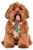 Rubies Mardi Gras Sequin Necktie Pet Costume SmallMedium Multicolor